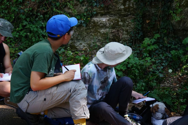 Studierende machen Notizen bei einer Exkursion in der Natur.