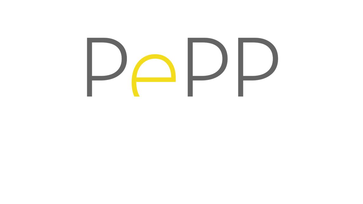 E-Prüfung, Online-Prüfung,